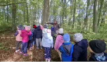 Erdei iskolai kirándulás Erdei iskolai kirándulás