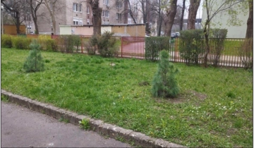 Köszönetnyilvánítás Bazin Levente Dávid önkormányzati képviselő úrnak