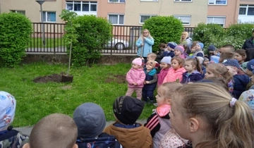 Faültetés az óvodában 