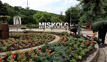 Minap - NEVEZÉSI REKORD A JUBILEUMI VIRÁGOS MAGYARORSZÁG VERSENYEN