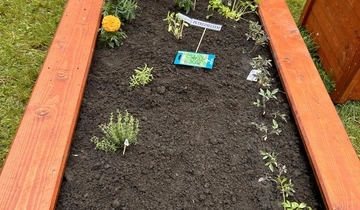 Föld napja a Miskolci Integrált Óvodai Intézmény Mesevár Tagóvodájában