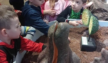 A MIÓVI Bársony János Úti Tagóvodája Bársony ibolya csoportja a „Víz világnapja” alkalmából látogatást tett a Pannon-tenger Múzeumban.