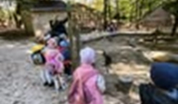 Kirándulás a Miskolci Állatkertbe