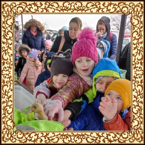 Az Ónodi vásárban járt  a MIÓVI Petneházy Úti Tagóvodája