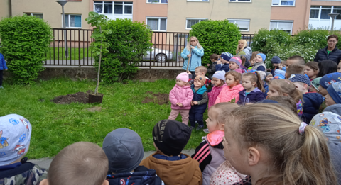 Faültetés az óvodában 