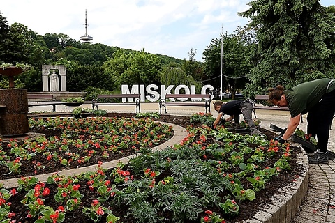 Minap - NEVEZÉSI REKORD A JUBILEUMI VIRÁGOS MAGYARORSZÁG VERSENYEN Minap - NEVEZÉSI REKORD A JUBILEUMI VIRÁGOS MAGYARORSZÁG VERSENYEN