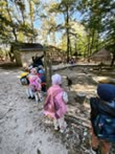 Kirándulás a Miskolci Állatkertbe