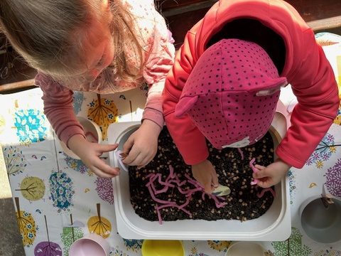 Madarak és fák napja